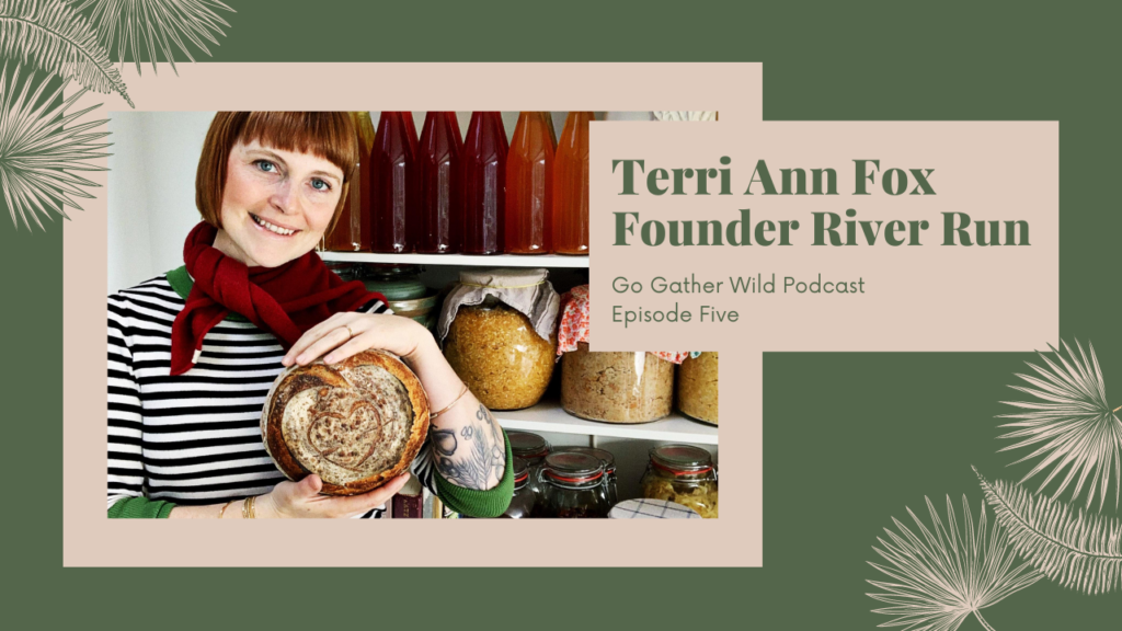 Go Gather Wild Podcast Terri Anne Fox River Run Ferments Fermenting Expert