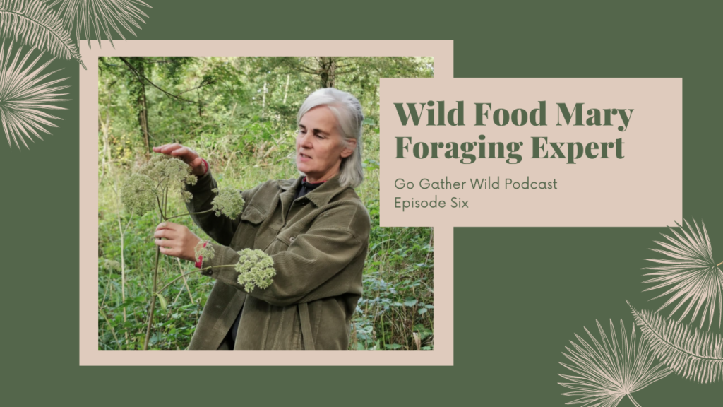Go Gather Wild Podcast Wild Food Mary Foraging and Wild Food Expert