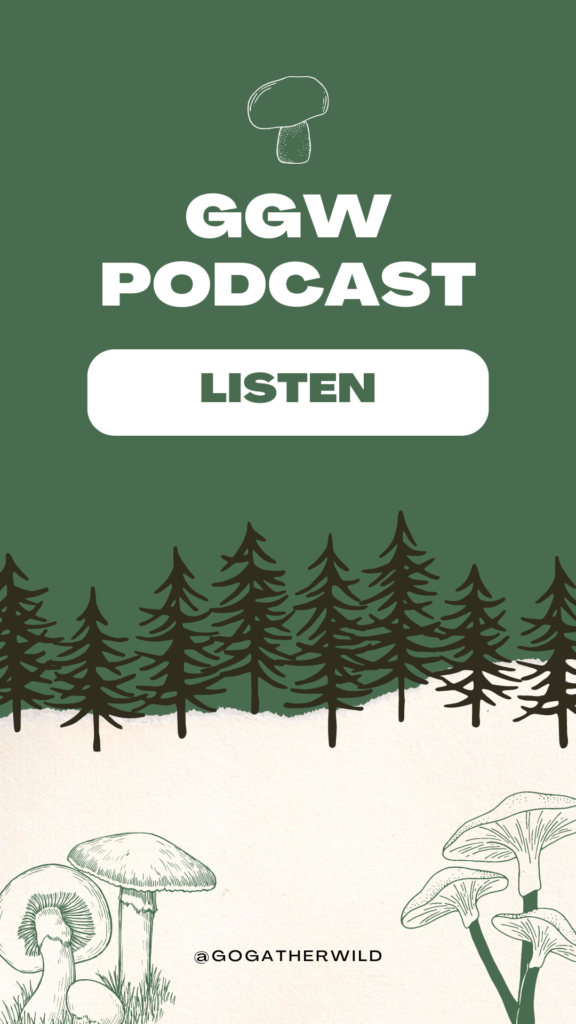 GGW Podcast